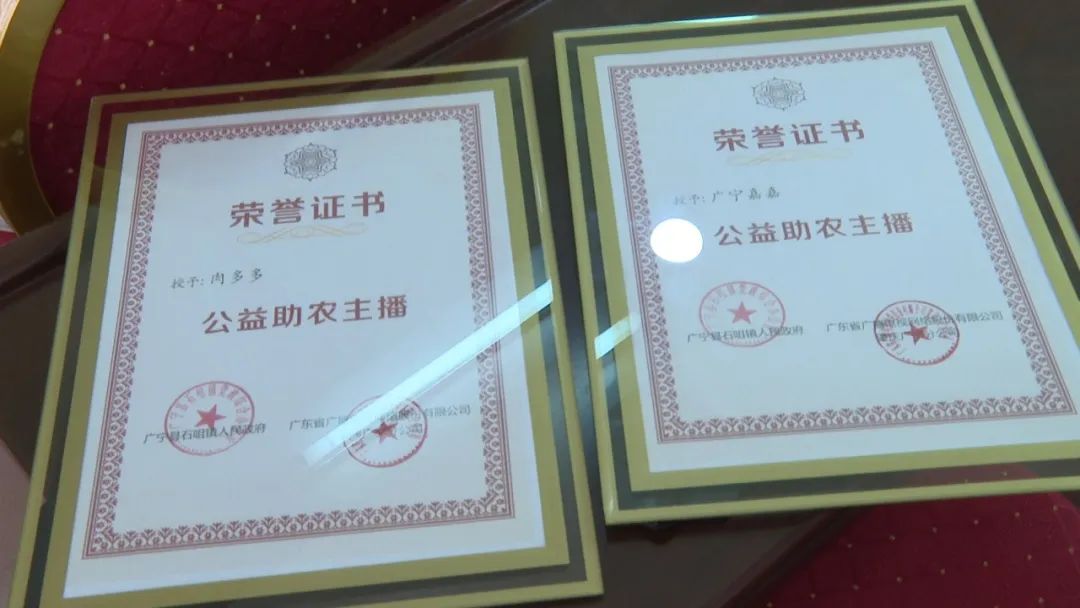 廣東廣電網(wǎng)絡(luò)：智慧廣電網(wǎng)絡(luò)平臺(tái)，開(kāi)啟廣寧農(nóng)產(chǎn)品銷售新格局